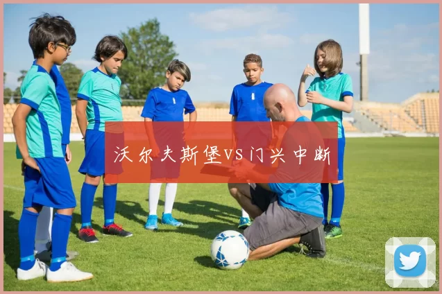沃尔夫斯堡vs门兴中断