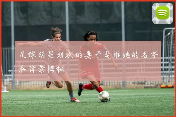 足球明星刘欢的妻子是谁她的名字和背景揭秘