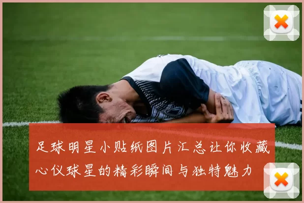 足球明星小贴纸图片汇总让你收藏心仪球星的精彩瞬间与独特魅力