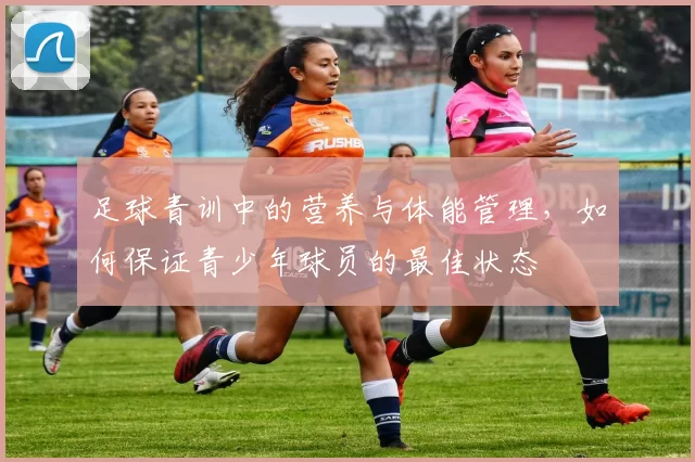足球青训中的营养与体能管理，如何保证青少年球员的最佳状态