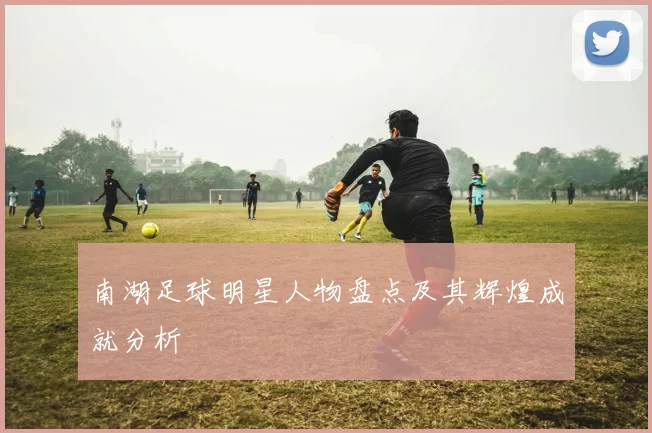 南湖足球明星人物盘点及其辉煌成就分析