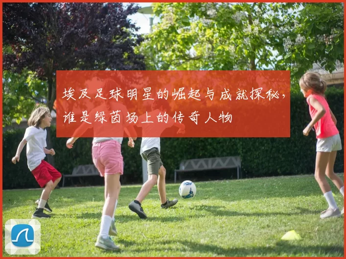 埃及足球明星的崛起与成就探秘，谁是绿茵场上的传奇人物