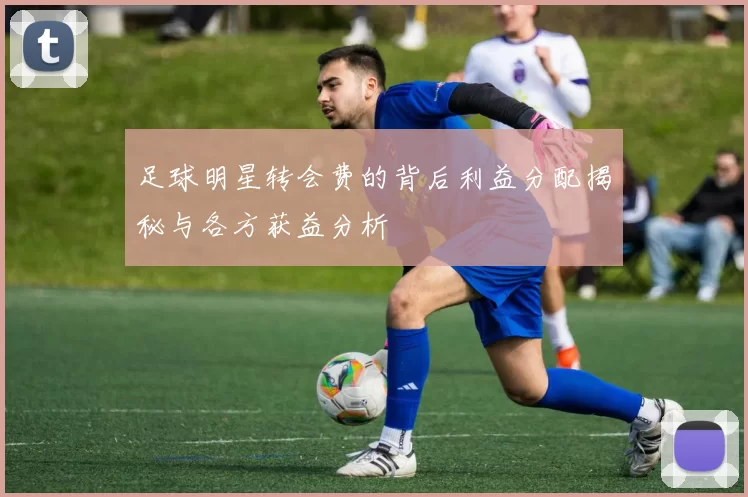 足球明星转会费的背后利益分配揭秘与各方获益分析